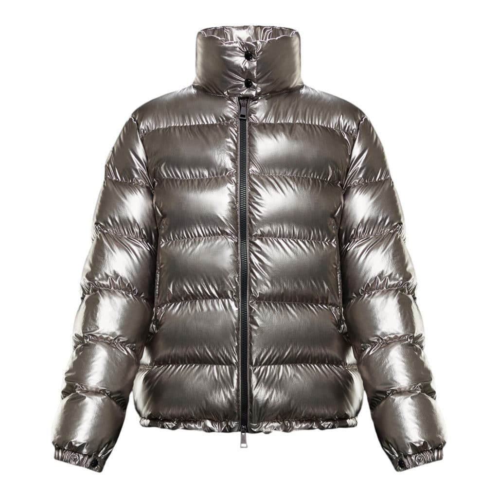 Moncler Gris Giubbotto Silver