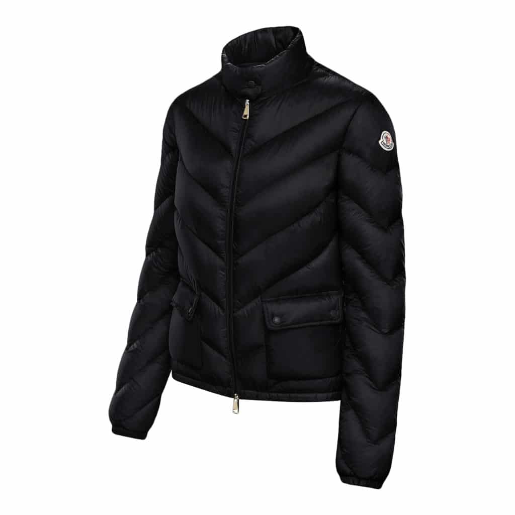 Moncler Lanx Giubbotto - Image 3