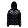 Moncler Lannic Rosa Jakke